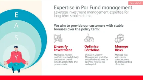 Sample slide on par fund management expertise built around the word EASY