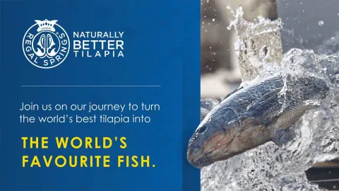 Sample slide for a tilapia brand reading The world's favourite fish